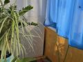2-бөлмелі пәтер · 55.7 м² · 8/9 қабат, мкр Кунаева 2, бағасы: 18.8 млн ₸ в Уральске — фото 5
