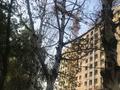 1-комнатная квартира, 30.5 м², 7/12 этаж, Кульджинский тракт за 14 млн 〒 в Алматы — фото 4