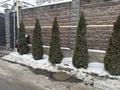 Жеке үй · 7 бөлме · 280 м² · 6 жүзд., Ақжар ш/а. ул Береке, бағасы: 290 млн ₸ в Алматы, Наурызбайский р-н — фото 5