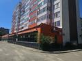 1-комнатная квартира · 42.7 м² · 10/10 этаж, Пр. К.Сатпаева 2/2 — ДтАйгерии, шк26, длстык за 17.5 млн ₸ в Усть-Каменогорске — фото 15