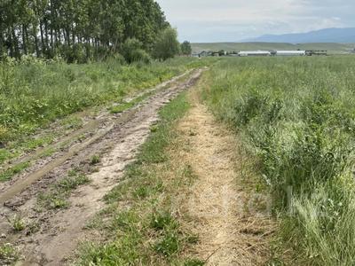 Участок · 3 га, п. Шиен за 15 млн ₸ в Узынагаш