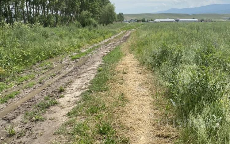 Жер телімі · 3 га, Шиен ауылы, бағасы: 15 млн ₸ в Узынагаш, п. Шиен — фото 2