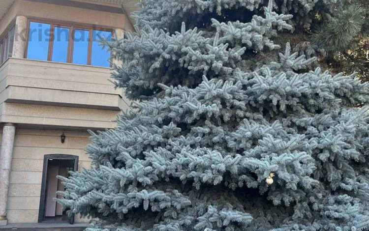 Жеке үй · 6 бөлме · 440 м² · 10 жүзд., НУРМАГАНБЕТОВА, бағасы: 350 млн ₸ в Алматы, Медеуский р-н — фото 11