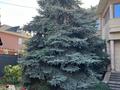 Жеке үй · 6 бөлме · 440 м² · 10 жүзд., НУРМАГАНБЕТОВА, бағасы: 350 млн ₸ в Алматы, Медеуский р-н — фото 2