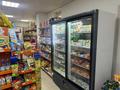 Магазины и бутики · 70 м² за 40 млн ₸ в Астане, Нура р-н