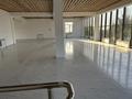 Свободное назначение · 400 м² за 1.5 млн ₸ в Кыргауылдах — фото 15