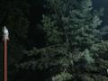 Жеке үй · 3 бөлме · 120 м² · 8 жүзд., Заречный/ИЖС/Геолог-5 — Ул,Аягөз,Геолог-2/126, бағасы: 18 млн ₸ в Актобе, жилой массив Заречный-1 — фото 10