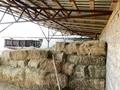 Жер телімі · 35 га, Казатком, бағасы: 100 млн ₸ — фото 8
