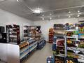 Жеке үй · 6 бөлме · 258 м² · 10 жүзд., Өркен - 2, 38 42 — Магазин Ұрпақ, бағасы: 120 млн ₸ в Атырау, Оркен - 2 — фото 53