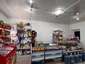 Жеке үй · 6 бөлме · 258 м² · 10 жүзд., Өркен - 2, 38 42 — Магазин Ұрпақ, бағасы: 120 млн ₸ в Атырау, Оркен - 2 — фото 54