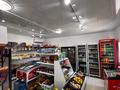 Жеке үй · 6 бөлме · 258 м² · 10 жүзд., Өркен - 2, 38 42 — Магазин Ұрпақ, бағасы: 120 млн ₸ в Атырау, Оркен - 2 — фото 55