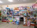 Магазины и бутики • 180 м² за 750 000 〒 в Жезказгане — фото 6