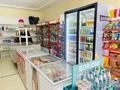 Магазины и бутики • 110 м² за 28 млн 〒 в Атырау, мкр Береке — фото 3