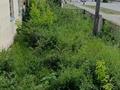 Жеке үй · 4 бөлме · 105 м² · 5 жүзд., Вавилова 147 — Куанышева, бағасы: 15 млн ₸ в Кокшетау — фото 13