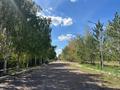 Отдельный дом · 4 комнаты · 144 м² · 16 сот., Дзержинского за 29.5 млн ₸ в Новодолинский — фото 11