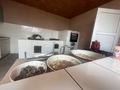 Жеке үй · 8 бөлме · 320 м² · 16 сот., Келешек 2, бағасы: 160 млн ₸ в им. Турара рыскуловой — фото 21