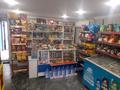 Магазин игровой клуб пс 5 комерческая баня 2 этажный дом · 170 м² за 55 млн ₸ в Кенжеколе — фото 40