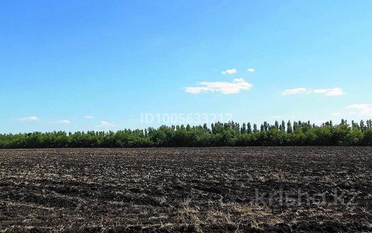Участок · 3 га, Шелек за 3.9 млн 〒 — фото 3
