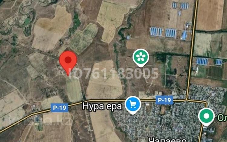 Жер телімі · 3 га, Чапаево, бағасы: ~ 14.9 млн ₸ — фото 2