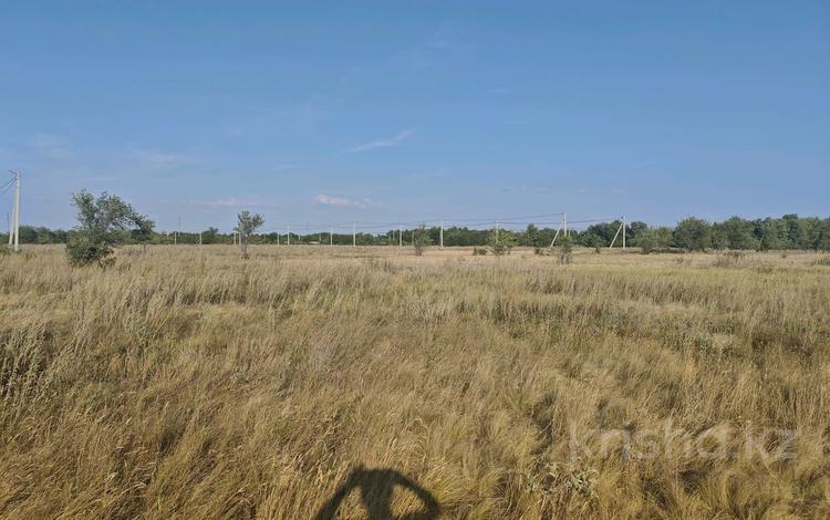 Участок · 10 соток, СК Сарбаз за 1.3 млн ₸ в Актобе — фото 9