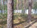 Жер телімі · 20 сотық, Щучинск, бағасы: 125 млн ₸ — фото 3