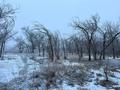 Жер телімі · 13.5 га, Енбекши (Карасайский район), бағасы: 1.5 млрд 〒