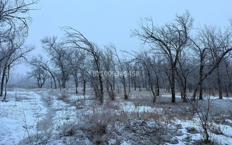 Жер телімі · 13.5 га, Енбекши (Карасайский район), бағасы: 1.5 млрд 〒 — фото 5
