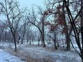 Жер телімі · 13.5 га, Енбекши (Карасайский район), бағасы: 1.5 млрд 〒 — фото 2