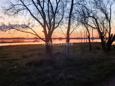 Участок · 6 соток, Сушар за 2.2 млн ₸ в Алатау