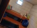 Отдельный дом · 3 комнаты · 82 м² · 10 сот., Ауэзова 11а — Ауэзова Алматинская за 20 млн ₸ в Турген — фото 8