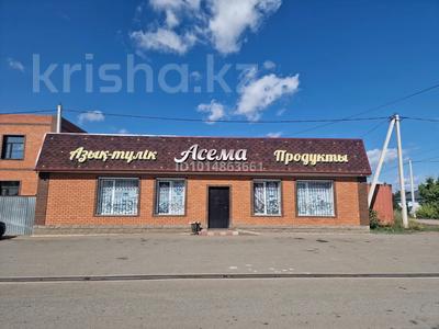 Дүкендер мен бутиктер · 300 м², бағасы: 150 млн ₸ в 