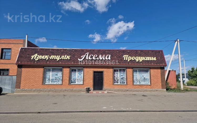 Дүкендер мен бутиктер · 300 м², бағасы: 150 млн ₸ в  — фото 2