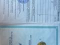 Участок · 2 га, Трасса — Европа Китай за 12 млн ₸ в Шакпаке баба — фото 2