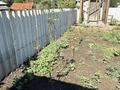 Участок · 7 соток, Третья 108 — Район Пристани, п-к Красина за 18.5 млн ₸ в Усть-Каменогорске — фото 37