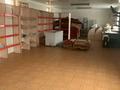 Магазин с большим участком · 96 м², бағасы: 30 млн ₸ в Шымкенте, Каратауский р-н — фото 11