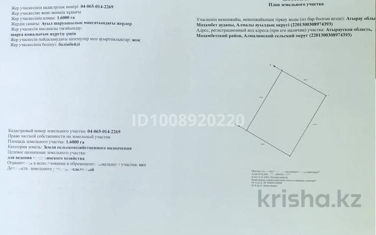Участок · 2.8 га, Атырау за 25 млн ₸ — фото 2