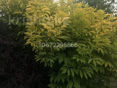 Продажа домов и дачи в Алматинской обл.: Дача · 4 комнаты · 140 м² · 6 сот., Туймебая — Ардагер ветеран 23 линия за 75 млн 〒 Дача · 4 комнаты · 140 м² · 6 сот., Туймебая — Ардагер ветеран 23 линия за 75 млн 〒 в
