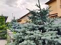 Отдельный дом · 4 комнаты · 107 м² · 8 сот., Ашимбаева за 85 млн ₸ в Туздыбастау (Калинино) — фото 25