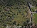 Участок · 210 соток, Табаган за 77 млн ₸ в 