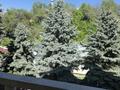 Жеке үй · 6 бөлме · 352 м² · 9 жүзд., Таттимбета — Омаровой-Достык, бағасы: 750 млн ₸ в Алматы, Медеуский р-н — фото 7