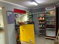 Магазины и бутики • 132 м² за 38 млн 〒 в Шымкенте, Аль-Фарабийский р-н — фото 5