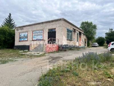 Еркін · 210 м², бағасы: 55 млн 〒 в Бурабае