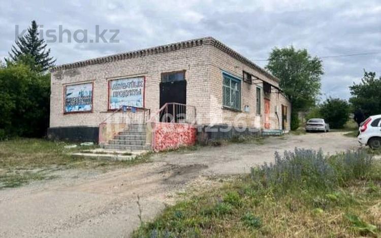 Еркін · 210 м², бағасы: 55 млн 〒 в Бурабае — фото 20