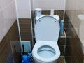 2-комнатная квартира · 44 м² · 4/5 этаж, Мухаммеджанова 29 за 150 000 ₸ в Балхаше — фото 8