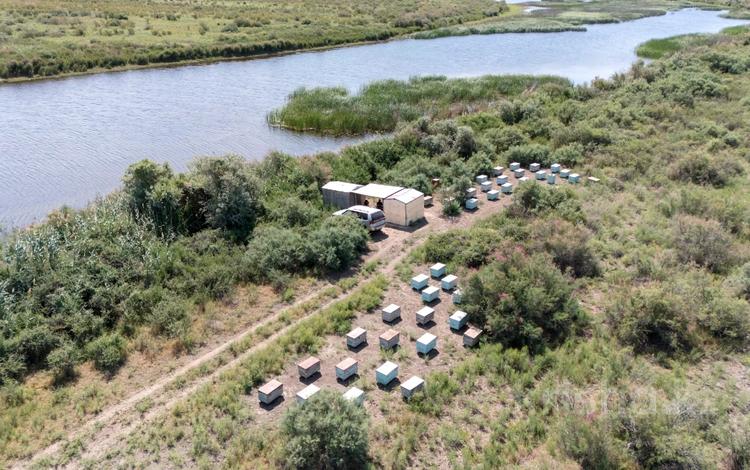 Пасека, готовый бизнес · 20 м² за 3 млн ₸ в  — фото 2
