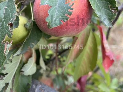 Дача · 4 комнаты · 80 м² · 6 сот., Ландышевая 304 за 10 млн ₸ в Косозен