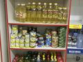 Продуктовый магазин · 60 м² за 7 млн ₸ в Астане, Есильский р-н — фото 2