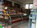 Продуктовыи могозин · 139 м² за 73 млн ₸ в Шымкенте, Каратауский р-н — фото 3