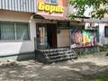 Магазины и бутики, общепит, салоны красоты · 220 м² за 56 млн ₸ в Кокшетау — фото 3
