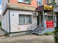 Магазины и бутики, общепит, салоны красоты · 220 м² за 56 млн ₸ в Кокшетау — фото 4